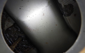 OTHER +UNREGISTERED MODEL by BDS125