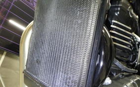 TRIUMPH SPEED 400 2025