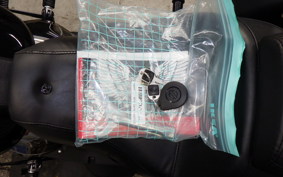 HARLEY FXLRST1920 2023