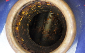 SUZUKI TS50 Hustler SA11A