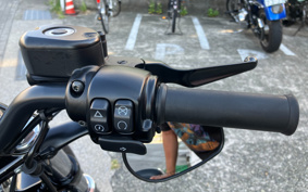HARLEY XL1200X 2021 LC3