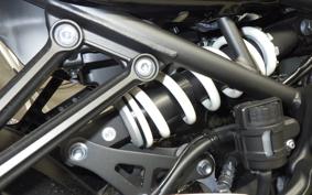 KAWASAKI Z900RS CAFE 2024 ZR900K