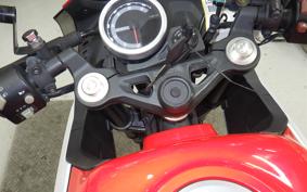 OTHER +CF PAPIO XO-1 2025