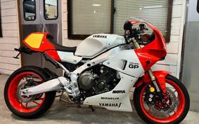 YAMAHA XSR900 GP 2024 RN96J