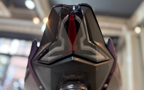 KAWASAKI NINJA 250 EX250P