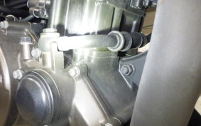 SUZUKI Vｽﾄﾛｰﾑ250SX 2013 EL11L