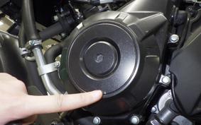 SUZUKI Vｽﾄﾛｰﾑ250A 2022