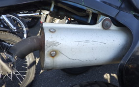 KAWASAKI KDX250SR 2019 DX250F