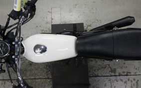 KAWASAKI 250TR
