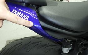 YAMAHA MT-07 2024 RM33J