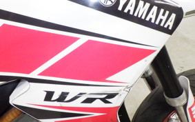 YAMAHA WR250X 2013 DG15J