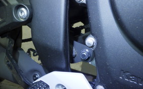 KAWASAKI ZX-4R SE 2024 ZX400P