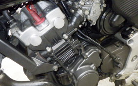 HONDA HORNET 250 2009 MC31