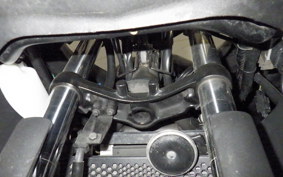 KAWASAKI NINJA 250 EX250L