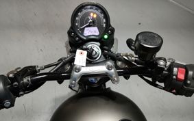 TRIUMPH SPEED TWIN 900 2023 DAD74G