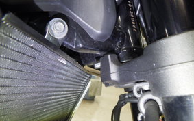 KAWASAKI Z900RS 2019 ZR900C
