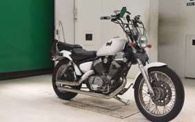 YAMAHA VIRAGO 250 2014 3DM