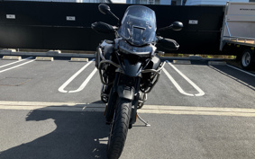 TRIUMPH TIGER 1200GT PRO 2023 TAP22V