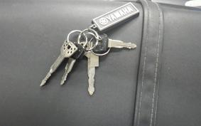 YAMAHA TW225 2015 DG09J