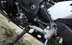KAWASAKI NINJA ZX-6R A 2025 ZX636J