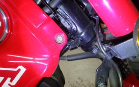 HONDA CT125 HUNTER CUB JA55