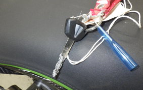 KAWASAKI ZX 10 NINJA R SE 2020 ZXT02E