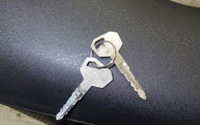 KAWASAKI KLX250D TRACKER 2010 LX250E