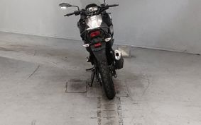 KAWASAKI  VERSYS X250 LE250D