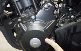 HONDA REBEL 250 A 2019 MC49