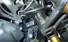 KAWASAKI Z125 PRO 2023 BR125H