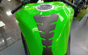 KAWASAKI NINJA ZX-6R ABS 2014 ZX636E