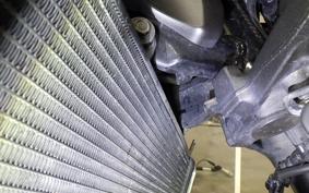 KAWASAKI Z900RS 2023 ZR900K