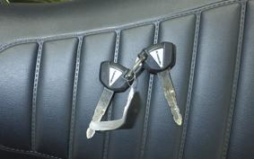 KAWASAKI Z900RS 2021 ZR900C