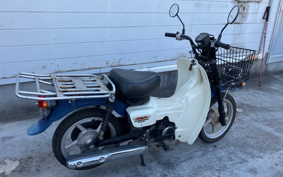 SUZUKI  NEW 聞 BIRDIE 50 BA43A