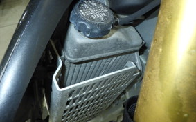 YAMAHA WR250R DG15J