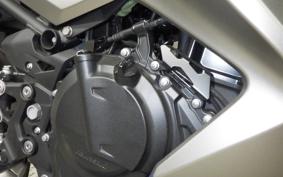 KAWASAKI NINJA 250 EX250Y