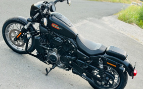 HARLEY RH975S NIGHT STAR 2024 ZF1