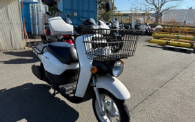 HONDA  BENLY  PRO  AA05