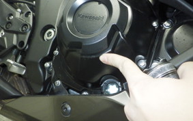 KAWASAKI NINJA 1000 SX 2023 ZXT02K