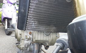 HONDA VTR 250 MC33