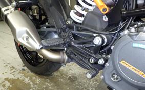 KTM 250 DUKE
