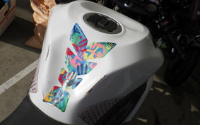 KAWASAKI NINJA ZX-6R A 2020 ZX636G