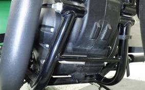 OTHER +ENFIELD ﾒﾃｵ350 2024