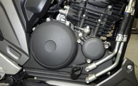 YAMAHA FZS25 2024