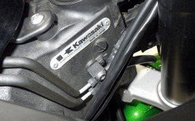 KAWASAKI NINJA 1000SX 2020