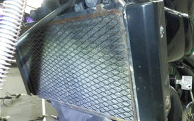 KAWASAKI ELIMINATOR 250 V 2008 VN250A