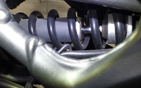 KAWASAKI ZX-25R 2025 ZX250E