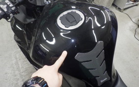 KAWASAKI NINJA 1000SX 2023 ZXT02K