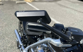 HARLEY  HARLEY FXBRS 2019 YHK