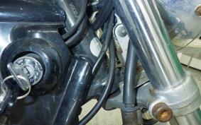 YAMAHA DRAGSTAR 250 2024 VG02J